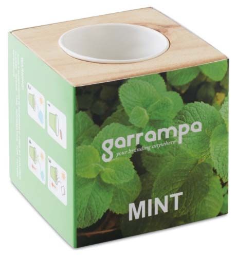 MENTA Porta sementes Menta