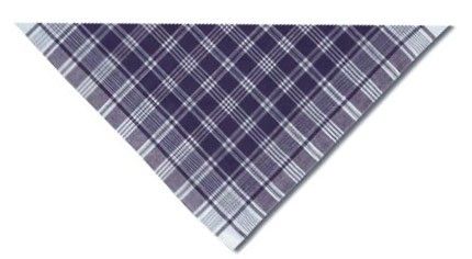 Hierbas & falleros hierbas triangular de cuadros azul de 100% algodón con logo vista 1