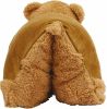 Almofada - Urso de peluche com fecho