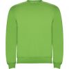 Sweatshirts de trabalho roly clasica algodão oásis verde imagem 1